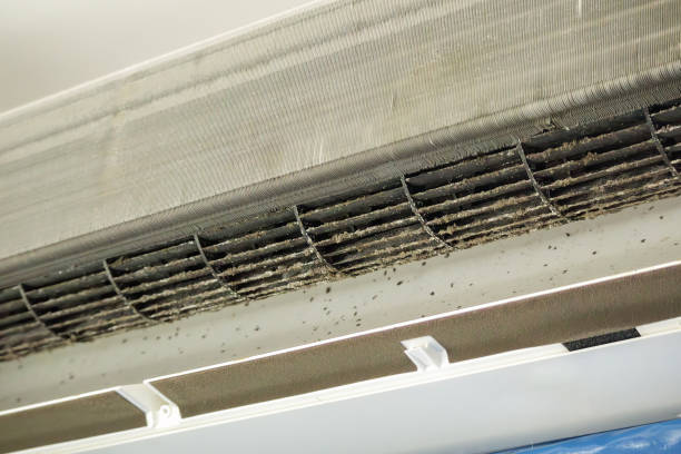 Best Best Air Duct Cleaning Company  in Daniels Farm, CT